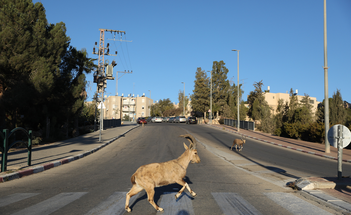 צילום: אי פי איי צילום: אי פי איי