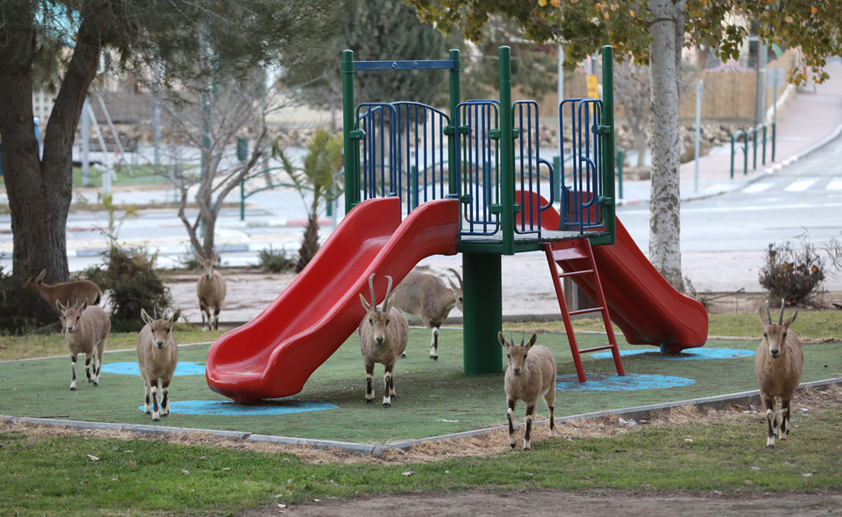 צילום: אי פי איי צילום: אי פי איי