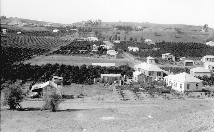 המושבה החקלאית בני ברק, 1933 המושבה החקלאית בני ברק, 1933