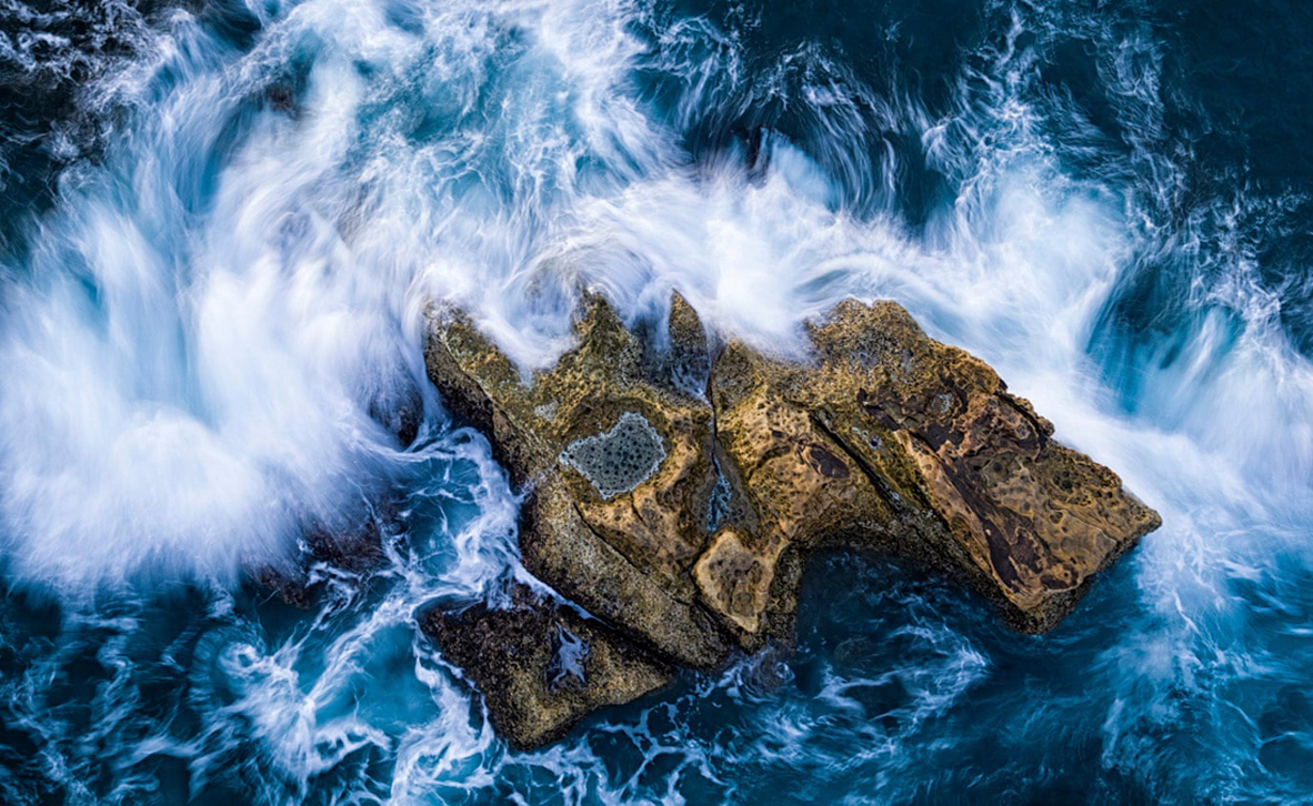 צילום: David Newton TPOTY צילום: David Newton TPOTY