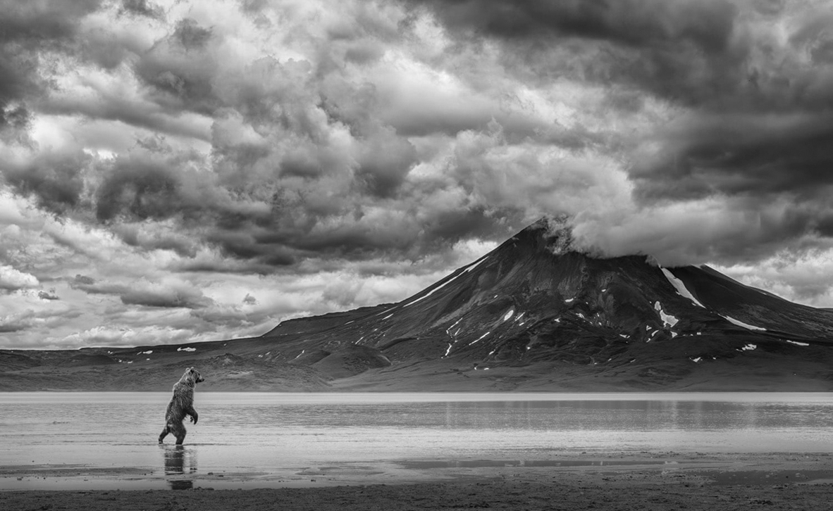 צילום: Richard Li TPOTY צילום: Richard Li TPOTY