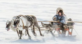 פוטו תחרות צילומי טיולים 2020 מזחלת, צילום: TPOTY, Vladimir Alekseev 