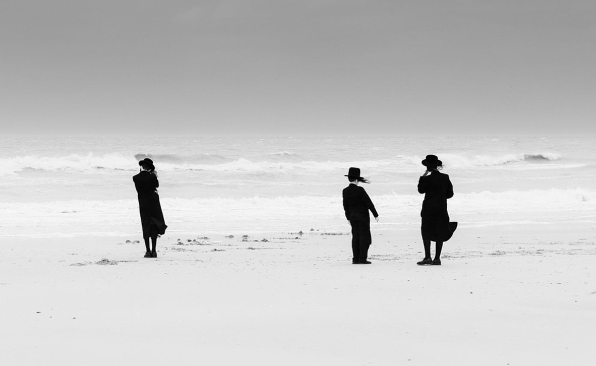 צילום: Eddy Verloes , TPOTY צילום: Eddy Verloes , TPOTY