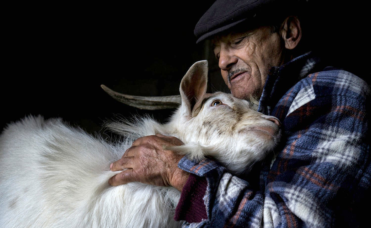 צילום: Jorge Bacelar , TPOTY צילום: Jorge Bacelar , TPOTY