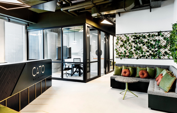 משרדי Cato משרדי Cato
