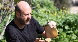 אורי מאיר־צ’יזיק , צילום: אלעד גרשגורן