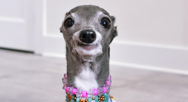 משפיענית אופנה. טיקה האיגי, צילום: Photo Courtesy of @tikatheiggy