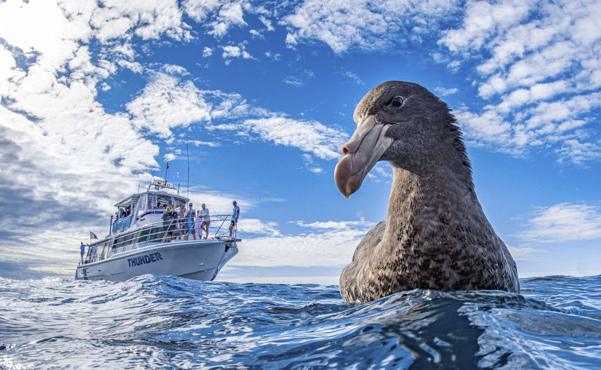 צילום: Naomi Rose / World Nature Photography Awards צילום: Naomi Rose / World Nature Photography Awards