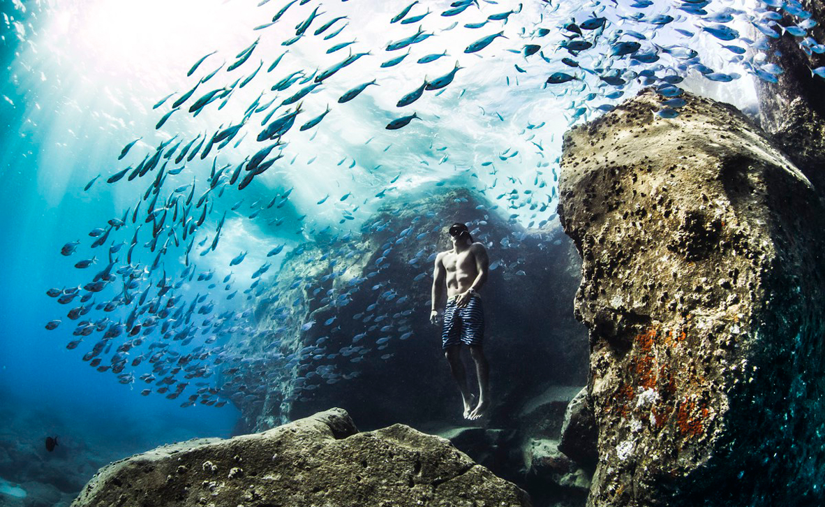 צילום: Christa Funk / World Nature Photography Awards צילום: Christa Funk / World Nature Photography Awards