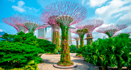 פוטו גנים מוזרים סינגפור , צילום: שאטרסטוק