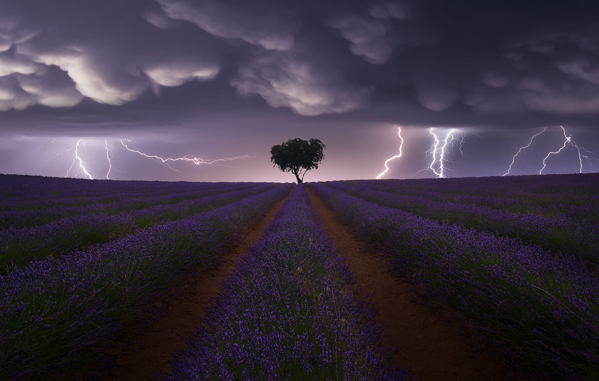צילום: Juan Lopez Ruiz/Sony World Photography Awards צילום: Juan Lopez Ruiz/Sony World Photography Awards