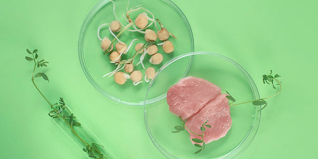 CTech Meets: Israeli companies disrupting the meat and dairy industries