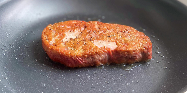 Israeli meat-alternative startup Chunk Foods raises $2 million in pre-seed led by Stray Dog Capital