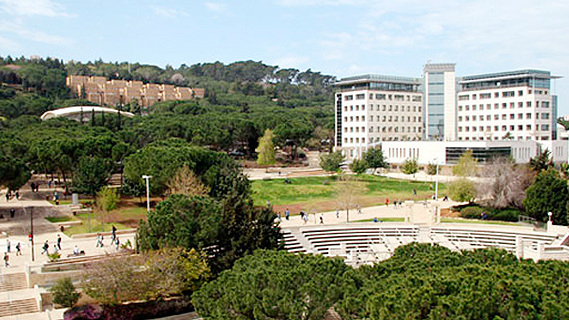 הקרב על ירושת המיליונים: הבן הנכה ניצח את הטכניון