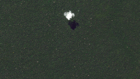 יערות הגשם באמזונס, צילום: google