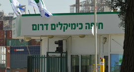 הקמת מפעל לייצור אמוניה של חיפה כימיקלים ו אדלטק 