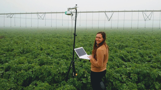 פרוספרה אגרו-טק