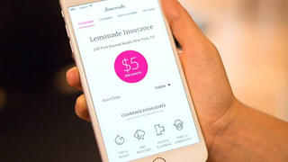 למונייד, צילום: lemonade