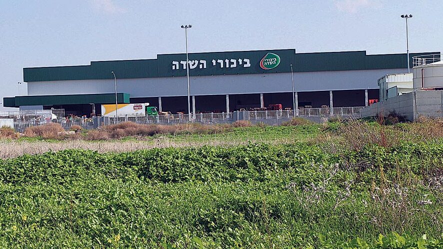 מכירות ביכורי שדה נפגעו, אבל הרווח זינק