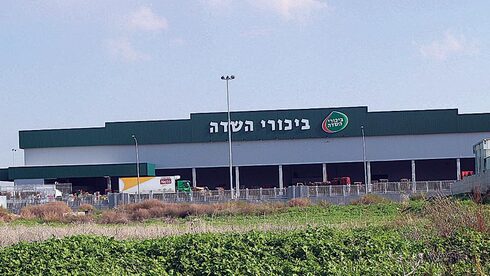 המכירות ירדו, הרווח עלה: ביכורי שדה מסכמת רבעון - Vimarsana News