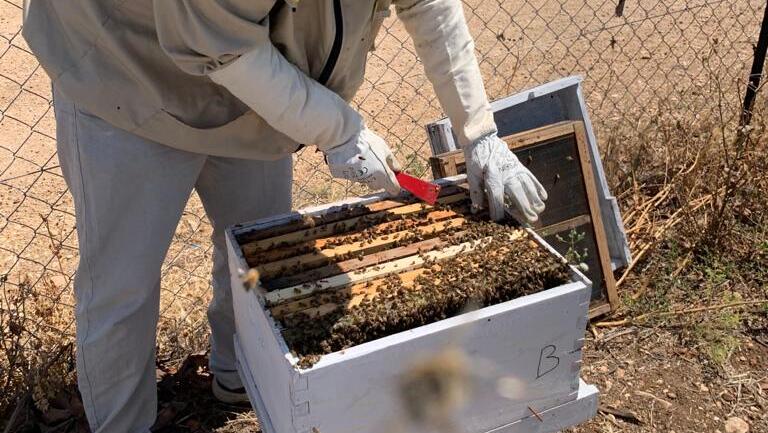 העלאת תעריף הגז הטבעי תידחה, הדבוראים יזכו להגנה: ועדת הכלכלה מקצצת את חוק ההסדרים