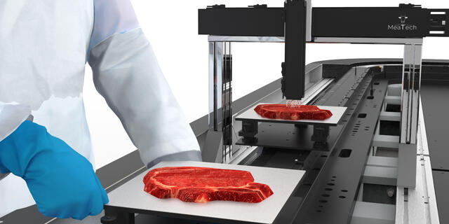 מכונת הדפסה תלת מימד בשר