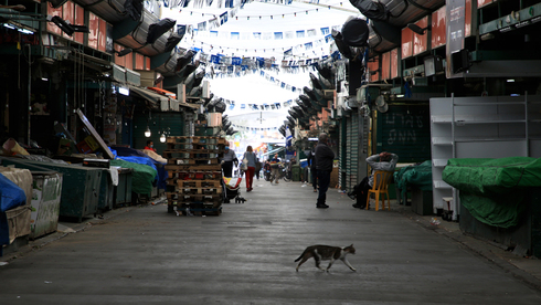 נתונים חלשים למשק הישראלי: התוצר נפל ב-6.5% ברבעון הראשון