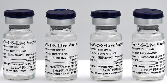 החיסון הישראלי לקורונה המכון הביולוגי