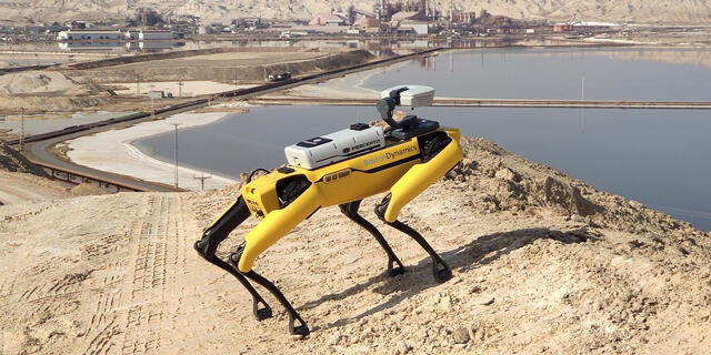 רובוט ספוט עם טכנולוגייה של פרספטו Percepto
