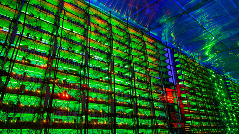 "משקיעי הקריפטו בסין לא רוצים להפוך לג'ק מא הבא"