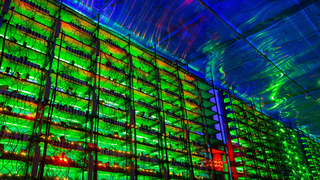 חוות שרתים לכריית ביטקוין, צילום: בלומברג