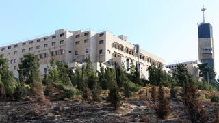 האוניברסיטה העברית, צילום: אלכס קולומויסקי