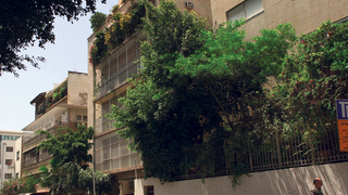 שדרות רוטשילד תל אביב, צילום: עמית שעל