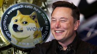 אלון מאסק דוג'קוין, גטי