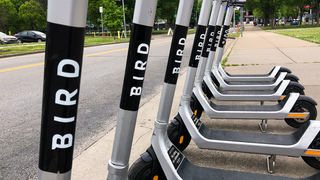 קורקינטים חשמליים של בירד, רויטרס