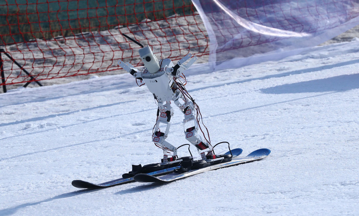 פוטו רובוטים סקי 
