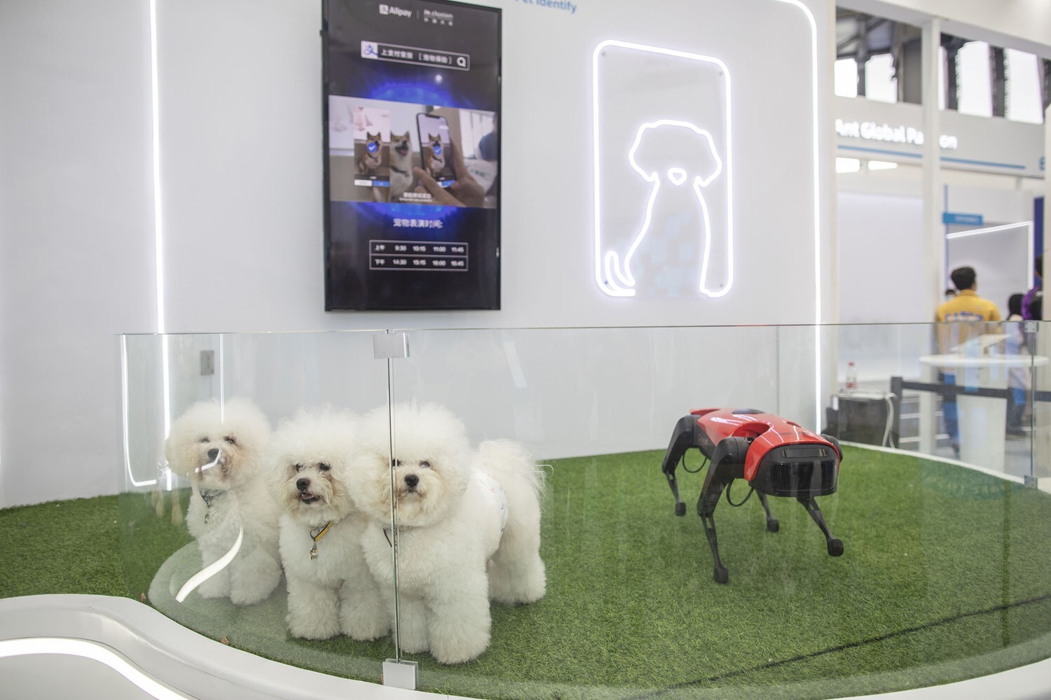 פוטו רובוטים כלבים