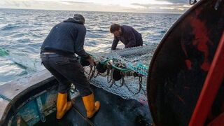דייגים בריטניה נורבגיה, EPA