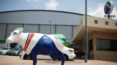 האולטימטום הסיני לקיבוצים: "תנו הסכמה בתוך שבוע, אחרת ננפיק את תנובה לבד"