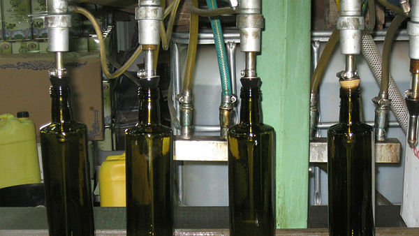 בקבוקי שמן זית במרכז המבקרים של סבא חביב בקיבוץ פרוד בצפון, אריאלה אפללו