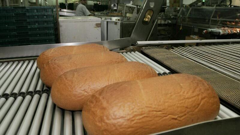 לחם אחיד, צילום: שאול גולן