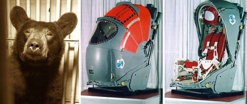 כיסא הההסלר והדובה יוגי, צילום: USAF