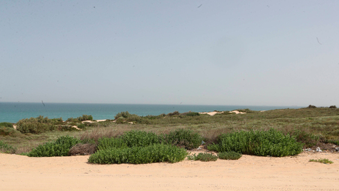 בנייה על קו החוף? מוסדות התכנון מדברים בשני קולות