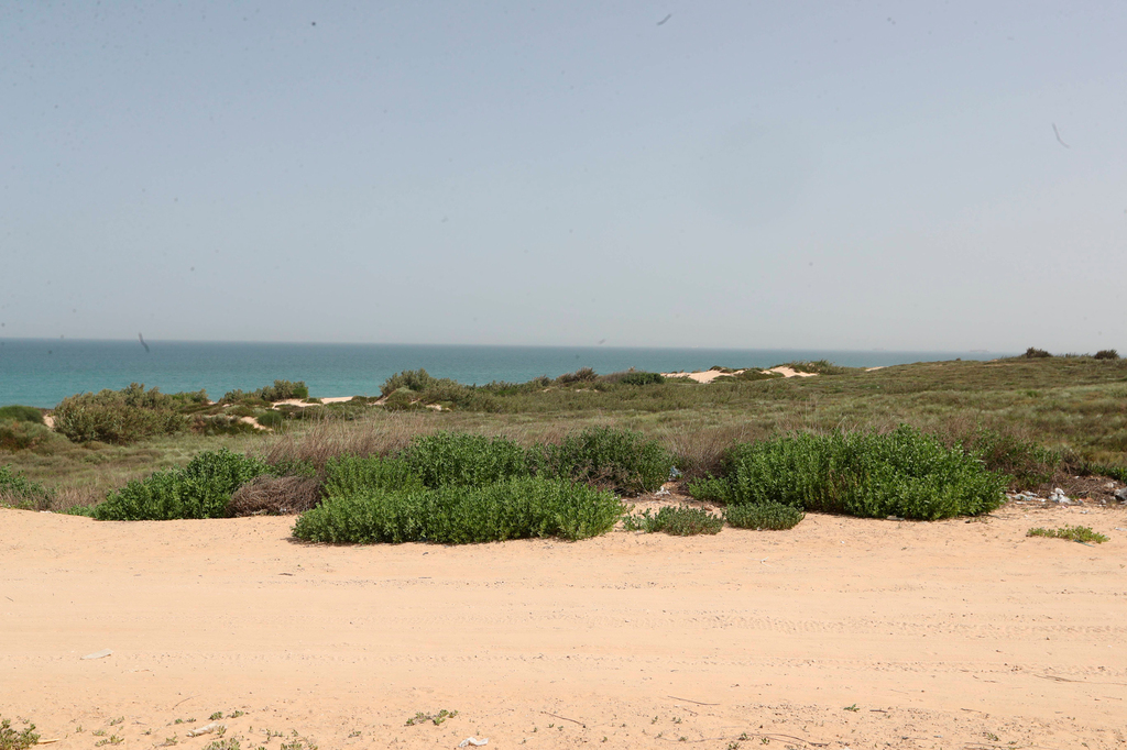 חוף לידו באשדוד. התוכנית לבניית 132 חדרים אושרה לפני כניסתו לתוקף של חוק החופים. ועדת החופים פסלה את הרחבת התוכנית ל־240 חדרים
(צילום: גדי קבלו) שטח שעליו יוקם מלון חדש ב חוף לידו אשדוד