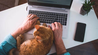 עבודה מהבית קורונה, צילום: שאטרסטוק