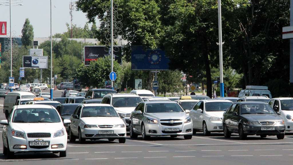 המדינה שבה כולם נוסעים באותה מכונית