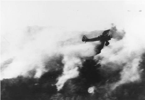 סטירמן הכיבוי הראשון נלחם בשריפת מנדנהול, צילום: fireaviation