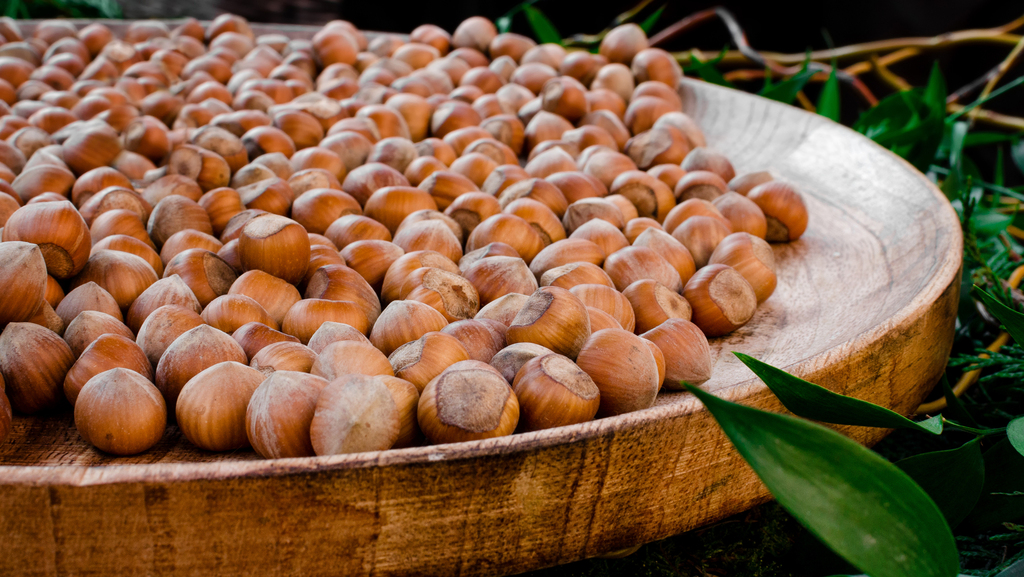 חקלאי איטליה נגד שוקולד נוטלה: "גידול עצי אגוזי לוז - פוגע במערכת האקולוגית"