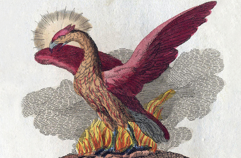 נעים להכיר: ציפור האש המקורית, צילום: Wikimedia