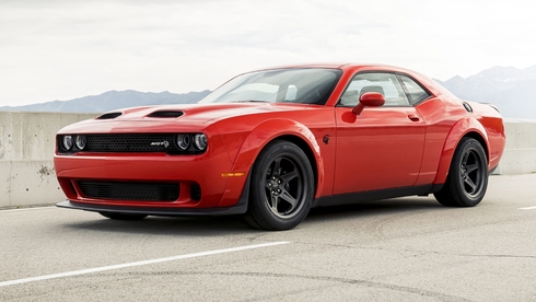 לא כמו כולם: חיות הכביש שקונים בישראל ביבוא אישי